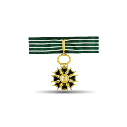 Ordre des arts et des lettres - Commandeur - Taille ordonnance