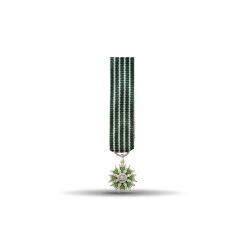 Ordre des arts et des lettres - Chevalier - Taille réduction