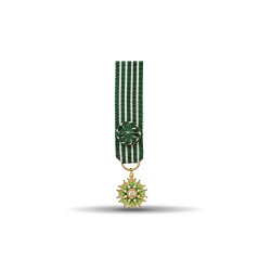 Ordre des arts et des lettres - Officier - Taille réduction