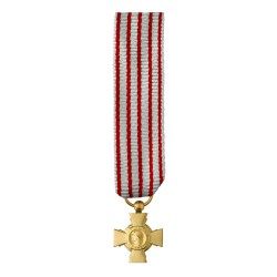 Croix du combattant - Taille réduction