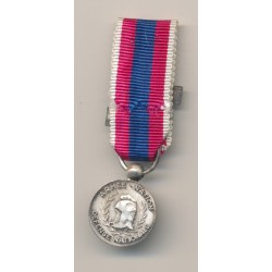 Médaille - Défense nationale argent - agrafe légion étrangère et troupes aéroportées - réduction 2