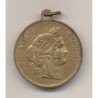 Médaille - Fête de charité - Rochefort 1880 - Musique et fanfare - TTB