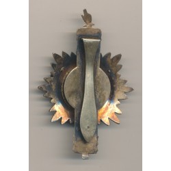 Insigne Chambre des députés 2