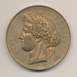 Médaille - Exposition universelle - Paris Trocadéro 1878 - bronze doré - 51mm - boudiné - SUP