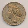 Médaille - Exposition universelle - Paris Trocadéro 1878 - bronze doré - 51mm - boudiné - SUP