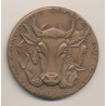 Médaille - Concours général agricole Paris - 1973 - bronze