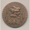 Médaille - Concours général agricole Paris - 1977 - bronze