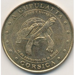 Dept20 - A cupulatta - tortue - 2000