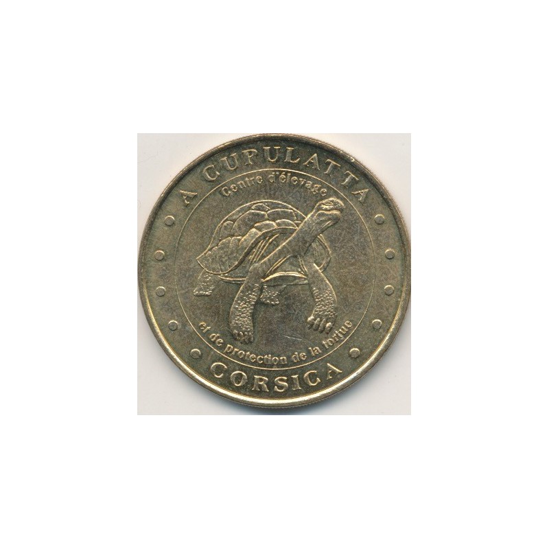 Dept20 - A cupulatta - tortue - 2000