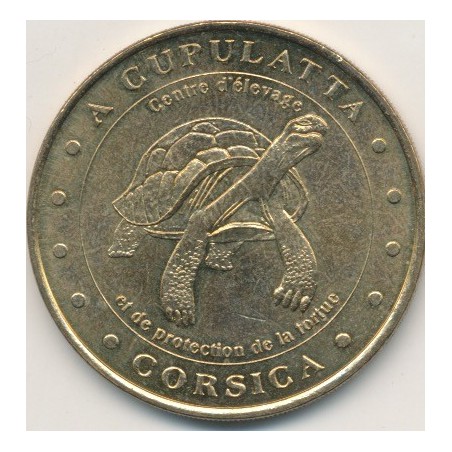 Dept20 - A cupulatta - tortue - 2000