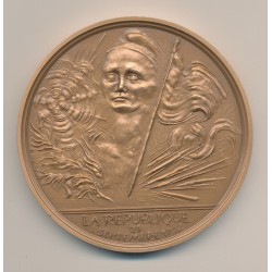 Médaille - la république  - Bicentenaire de la révolution Française - bronze - 77mm