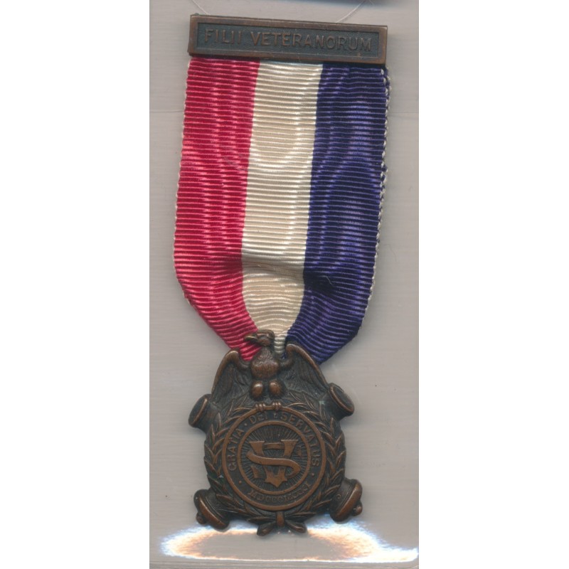 Etats-Unis - Veterans civil war 1881 - ruban bleu blanc rouge