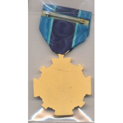 Etats-Unis - NASA - Distinguished service 2