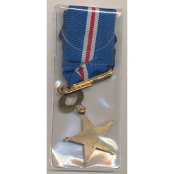 Médaille - Anciens combattants - Services renseignements - commandeur - ex-invisible - WWII 2