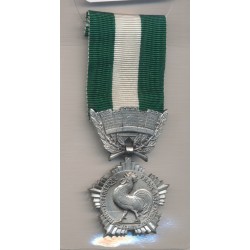Medaille - Collectivités locales