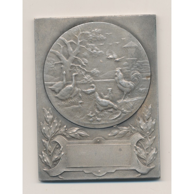 Plaquette - Offert par les compagnies PO Midi - bronze argenté - TTB+