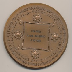 Médaille - Promotion Grade Officier Légion d'honneur - bronze - 95mm - A de Jaeger - TTB+ 2