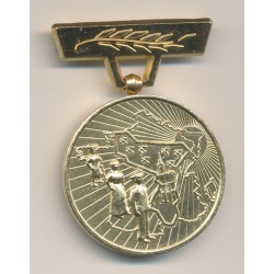 Insigne du patriote réfractaire à l'annexion - 1940-1945