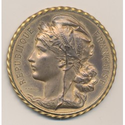 Médaille - Commémoration de la prise de la bastille - 1789-1889 - bronze - 60mm - SUP+ 2