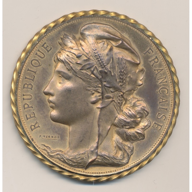Médaille - Commémoration de la prise de la bastille - 1789-1889 - bronze - 60mm - SUP+