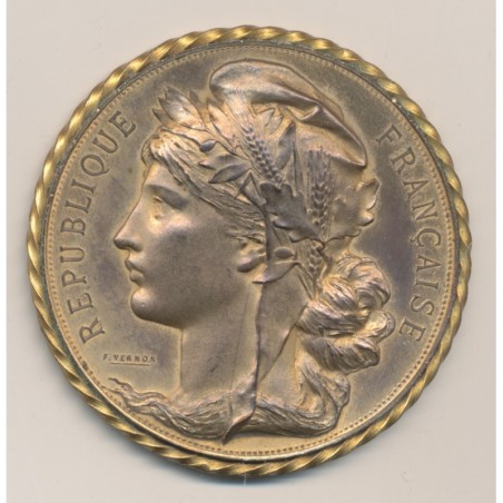 Médaille - Commémoration de la prise de la bastille - 1789-1889 - bronze - 60mm - SUP+