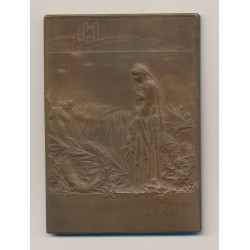 Médaille - Funérailles du Président Carnot - Graveur Roty - avec écrin d'origine - TTB+ 2