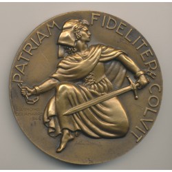 Médaille - Ville de Strasbourg - Alsace libérée 1944 - R.Delamarre - bronze - 68mm - SUP