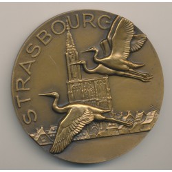 Médaille - Ville de Strasbourg - Alsace libérée 1944 - R.Delamarre - bronze - 68mm - SUP 2