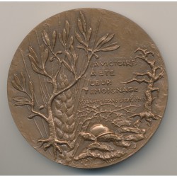 Médaille - 60e anniversaire de la bataille de Verdun - 1916-1976 - R.Delamarre - bronze 72mm - SUP 2