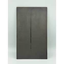 Plaque - Thème Alsace - Guttemberg,Klebber Rapp, Le rhin - acier doré - H200x118mm - H.Delamarre - TTB+ 2