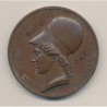 Médaille - École beaux-arts - Lyon - bronze - 41mm - TTB