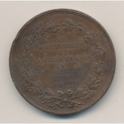 Médaille - École beaux-arts - Lyon - bronze - 41mm - TTB 2