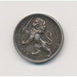 Médaille - Rétablissement statue équestre Louis XIV à Lyon 1825 - argent 15mm - TTB+ 2