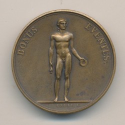 Médaille - Débarquement de l'empereur de retour d'Egypte - AN 8 2