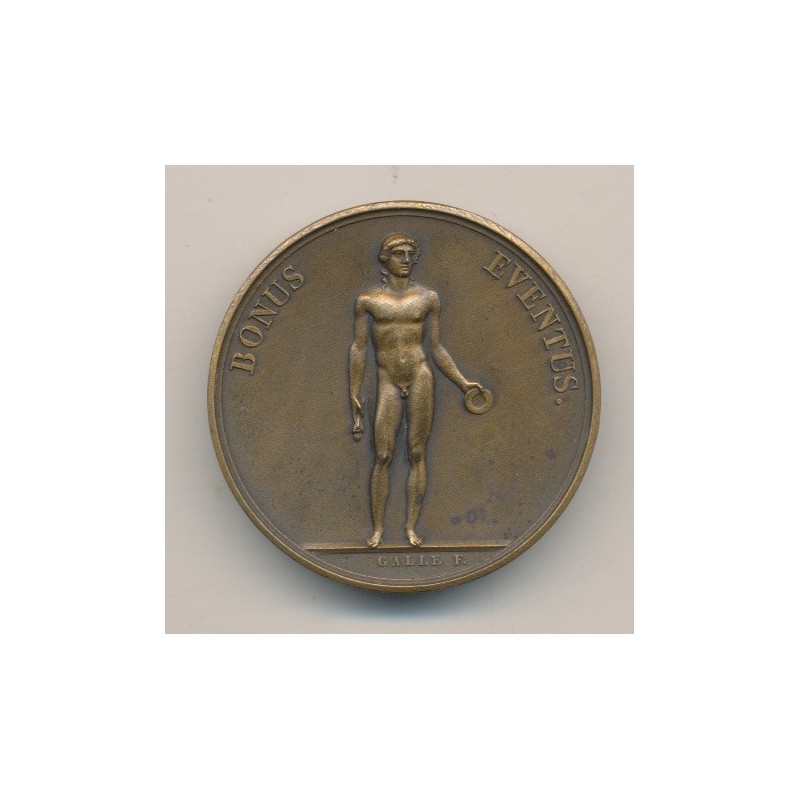 Médaille - Débarquement de l'empereur de retour d'Egypte - AN 8