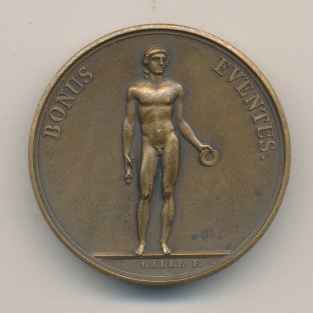 Médaille - Débarquement de l'empereur de retour d'Egypte - AN 8