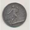 Médaille - Union des comices de l'arrondissement de Marennes - argent - TTB+