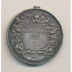 Médaille - Comice agricole - St autant et marennes - 1880 - argent - TTB 2