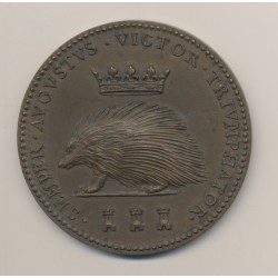 Médaille - Louis XII - Le père du peuple - porc-épic - bronze - 60mm - TTB+ 2