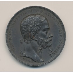 Médaille - Alliance franco-sarde indépendance Italie - Vittorio Emmanuel II - 1859 - étain 50mm - TTB
