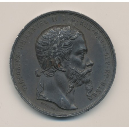 Médaille - Alliance franco-sarde indépendance Italie - Vittorio Emmanuel II - 1859 - étain 50mm - TTB