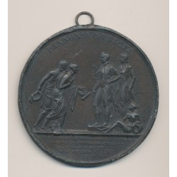 Cliché - Napoléon empereur - Députation des maires de Paris à Schoenbrunn - étain 67mm