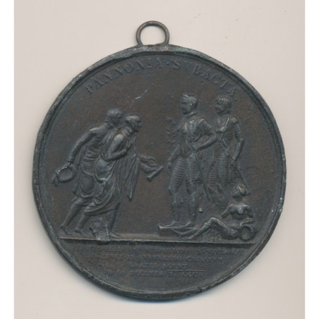 Cliché - Napoléon empereur - Députation des maires de Paris à Schoenbrunn - étain 67mm