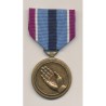 Etats-Unis - Service humanitaire - ordonnance