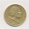 Louis XVIII - 40 Francs Or - 1817 A Paris - TTB
