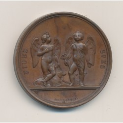 Médaille - Henri V - cuivre - 36mm - SUP 2