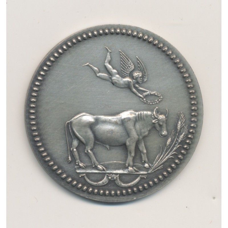 Médaille - antiquisante - Italie - argent 22g - 36mm - SPL