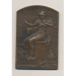 Plaquette - Comité français des expositions à l'étranger - bronze - L.Bottée - TTB+