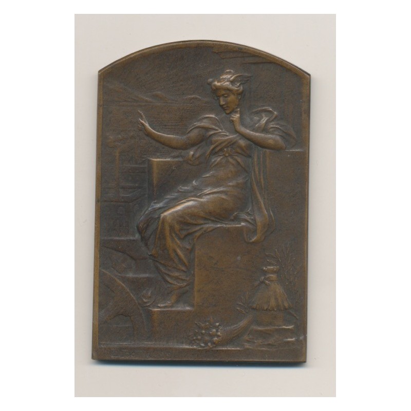 Plaquette - Comité français des expositions à l'étranger - bronze - L.Bottée - TTB+