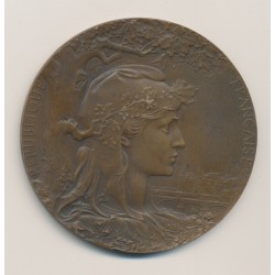 Médaille - Exposition Universelle - 1900 - Société centrale agriculture de l'Hérault - Bronze 2